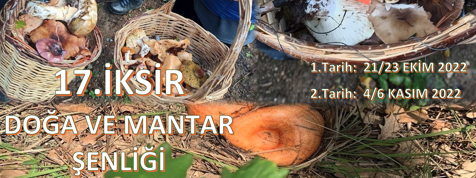 Ekran Resmi 2022-08-04 23.07.21