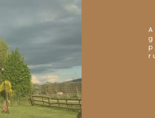 İksir’de Kurban Bayramı