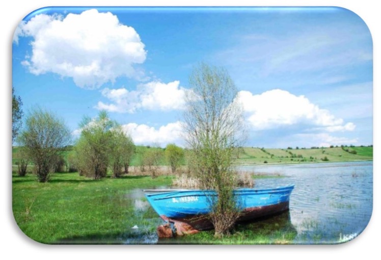 Resim21