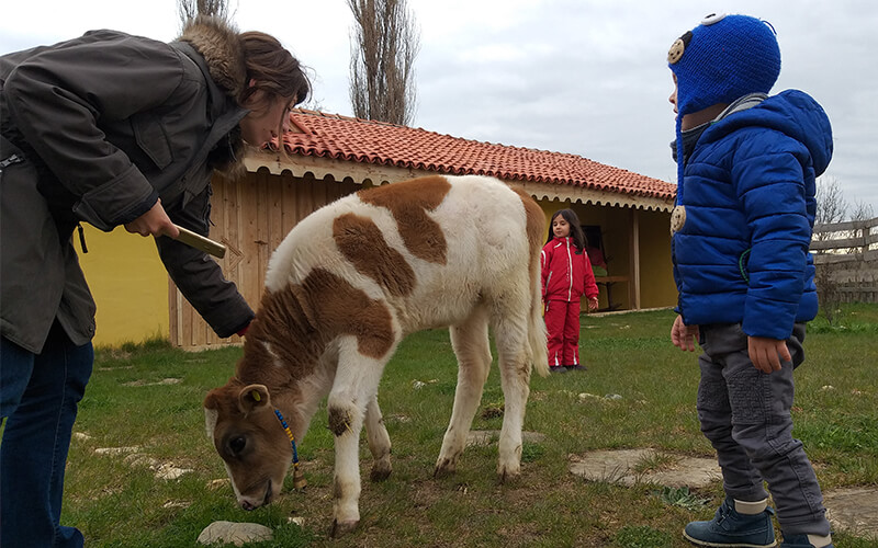 Kastamonu Otelleri Ara Tatil Aktiviteleri