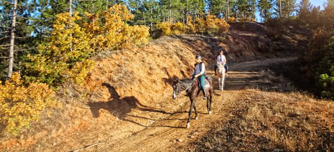 Kastamonu Atlı Safari