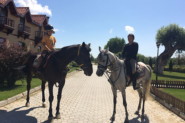 at pansiyonculugu atli binicilik ve egitim tesisleri kastamonu daday