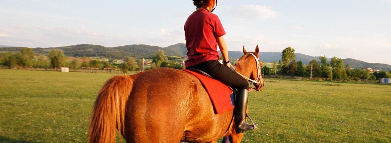 Kastamonu At Binicilik Merkezi ve Otel