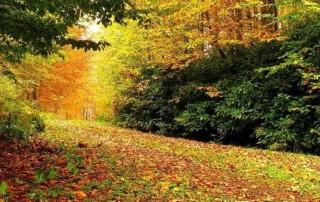 Kastamonu Daday Sonbahar Fotoğrafçılığı ve Kastamonu Otelleri