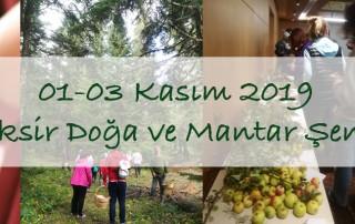 11. İksir Doğa ve Mantar Şenliği