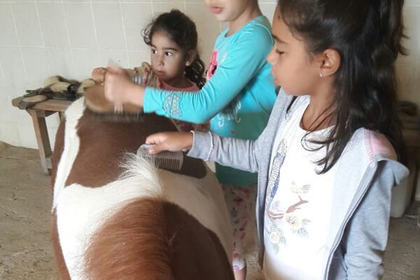 Pony Binicilik Eğitimleri Çocuklara Özel