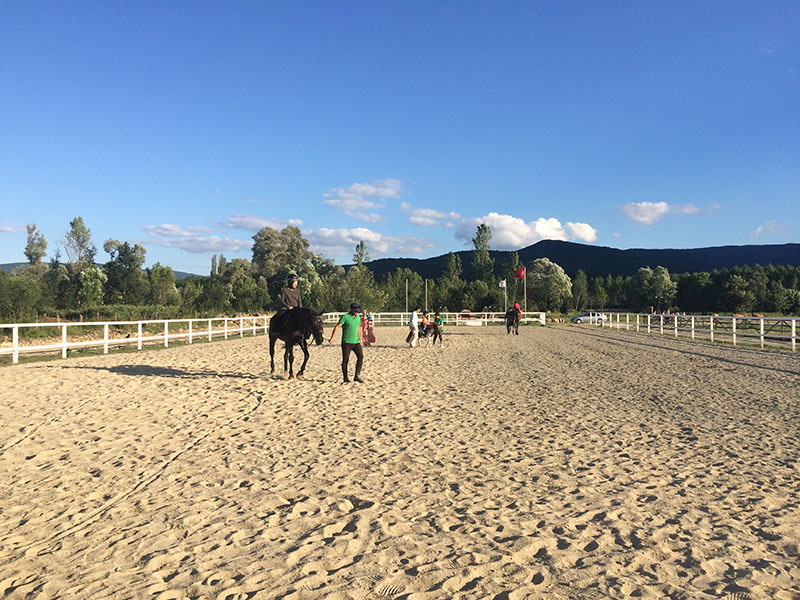 At Biniciliği ve Serbest Sürüş Eğitimleri